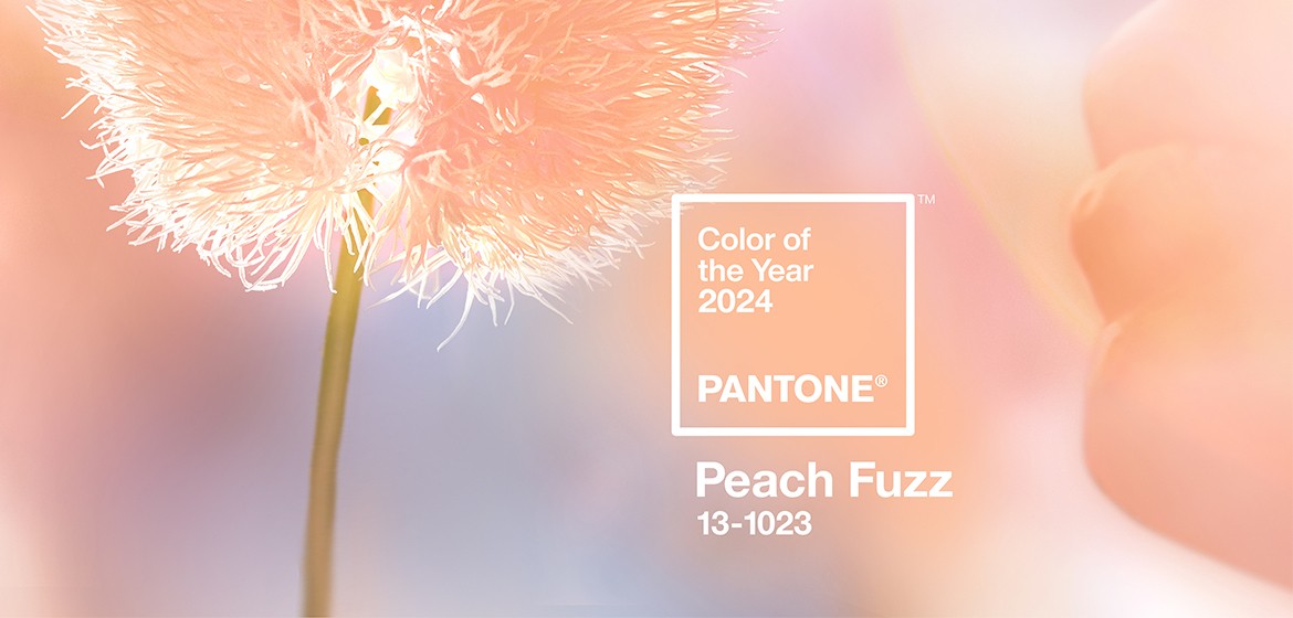 Peach Fuzz, couleur de l'année Pantone 2024 Tollens